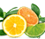 Air Wick Citrus Fragrances
