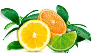 Frutas frescas naranja, toronja y limón cortadas a la mitad