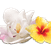 Airwick_Fragrances_1.2_Floral.png