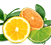 Airwick_Fragrances_1.1_Citrus.png